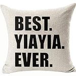 Best Ever Pillow Covers Funny Decor
