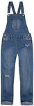 Levi's Girls' Big Denim Overall, Pa