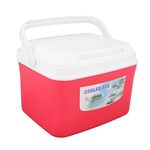 5L Portable Thermoelectric Cooler/Warmer, Portable Electric Cooler Warmer Mini Constant Temp Car Refrigerator with Handle for Car, Camping, Barbecue, Fishing, Picnic, with 5 Ice Bag