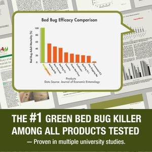 EcoVenger Bed Bug Killer Spray 480ml – Natural Insect Control