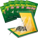 6 Pack Large Mouse Trap with Strong Stickiness, Rat Trap Sticky Pad Board for Household Indoor Home Kitchen Garden Sticky Traps，Easy to Set and Use, Glue Traps for mice
