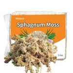 Yilotuce 5.5 oz Sphagnum Moss for Plants, Carefully Selected Clean Sphagnum Mos for Rooting Plants