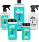 Aunt Fannie's Whole Home Cleaning B