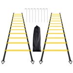 ERTYUI Agility Ladder Set, 2 Pack 6M 12 Rungs Agility Training and Balance Training Ladder, with 8pcs Steel Stakes and 2pcs Carry Bag, for Soccer, Speed, Football Fitness Feet Training