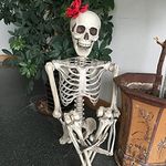 Qivange Halloween Decoration Horror Skeleton Props Poseable decor Life Size 160cm Human Skeleton Model Prop Graveyard Bones for Halloween Party