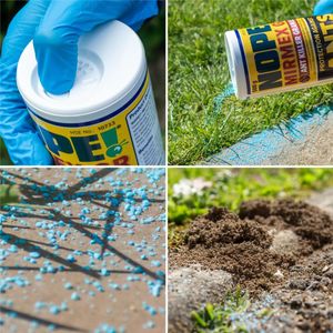 NOPE! Ant Killer Powder 500g – Indoor & Outdoor Nest Bait, Delayed-Action