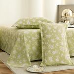 Story@Home King Size Air Cotton Bedsheet 240 TC Flat Sheet with 2 Pillow Covers, Soft & Durable Bed Sheet for King Bed (270 x 250 cm, Floral Print, Green & White)