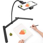 Chromlives Photo Copy Pico Projector Stand, Overhead Tripod Video Stand for Phone,Adjustable Tabletop Overhead Phone Mount,Gooseneck Mini Tripod Stand for Teaching Streaming Baking Crafting