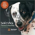 Dogtown: A Sanctuary for Rescued Do
