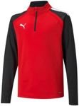 PUMA Mens 1/4 TeamLIGA 1 4 Zip Top, Red/Black, Large US