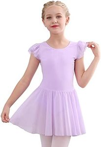 Stelle Ballet Leotards for Girls Dance Leotard with Skirt Toddler Pink Ballet Outfit Ruffle Sleeve Kids Dance Dress（A17-Light Purple,4T