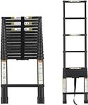 Extension Ladder, 20.3FT RIKADE Alu