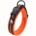 Truelove Dog Training Collar TLC5011 Reflective Premium Buckle Nylon Webbing Pet Dog Collars,High Grade Nylon Webbing No Choke Basic Collars Now Available (XL, Orange)