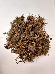 CAPPL 1kg Dry Sphagnum Moss (Multicolour)
