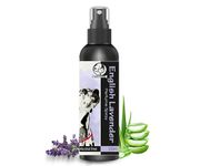 Foodie Puppies Dog Perfume Spray English Lavender - 200ml | Extract of Lavender and Aloe-vera | Daily use, Safe Deodorizer, Coat Perfume, Body Bad Odor - Safe & Effective Pet-Friendly Formula for Dogs