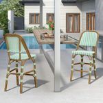 PURPLE LEAF French Outdoor Counter Bar Stool Set of 2 Wicker Bamboo Print Finish with Back Rattan Dining Chairs Armchair for Garden Kitchen Backyard Porch Patio Chairs, Light Green