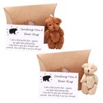 2Pcs A little Pocket Bear Hug Tiny Teddy Love Anti-Anxiety Token Sending You a Thinking of You Card and a Bear Toy Fun Animal Special Encourage Pocket Best Wishes Gifts for Keychain for Adults