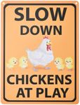 Bigtime Signs Funny Chicken Coop Decor - Heavy-Duty, Lightweight, Yard & Garden Art - 9"x12" Chicken Sign - Ideal for Patio, Pool House, Front Door, Farm & Pet Lovers