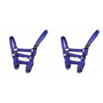 Rhinegold Nylon Foal Headcollar - Royal Blue (Pack of 2)