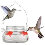 Nature's Way Bird Products MJF1 Nature's Way Mason Jar Hummingbird Dish Feeder, Clear