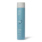 Ion Clarifying Shampoo 12oz by Ion