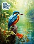 Bird Collage Papers: 20 Amazing Ori