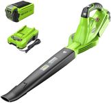 Greenworks 40V Leaf Blower/Sweeper,