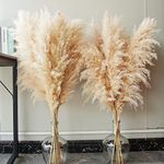 Bannifll 40-inch Natural Pampas Grass Decor Tall with 10 Stems. Perfect for Weddings, Parties, Farmhouse, and Boho Home Decor.