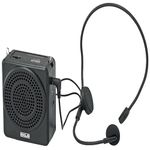 Speaker System For Classroom