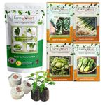 Farmgokart Combo Pack Of 4 Exotic Salad Leaves Seeds | SWISS CHARD, LEEK, LETTUCE ICEBERG & PAK CHOI | Easy To Grow | Best Suitable For Terrace And Home Gardening | With 4 Coco Disc - (VC-11)