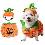 Halloween Pumpkin Dog Costume, Dog Cat Halloween Warm Costume Outfit Halloween Pet Cosplay Clothes with Pumpkin Hat for Small Medium Dogs Cats ("M" Size)