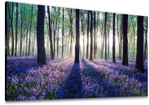 Amoy Art- Canvas Wall Art Sunshine in Forests with Purple Lavender Flower Painting Print Long Canvas Artwork Contemporary Nature Picture for Living Room Office