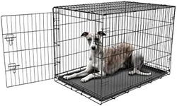 Carlson Pet Products Secure and Foldable Single Door Metal Dog Crate, Large