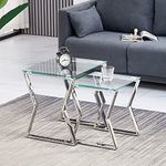 AINPECCA Nest of 2 Coffee Table Modern Sofa Side End Table Tempered glass with Stainless Steel Legs Nesting Tables for Living Room