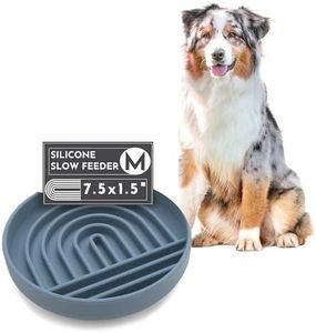 Should We Go? - The Slowdown Bowl - Silicone Slow Feeder for Dogs & Puppies, Slow Eating, Modern Lick Mat Design, Reduces Gulping, Dishwasher Fit, for All Breed, Mealtime Challenge, Medium-Ocean
