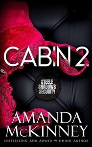 Cabin 2 : Steele Shadows Security Book 2