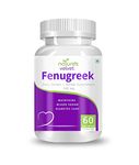 nature's velvet Lifecare Fenugreek Pure Extract (500 mg), 60 veggie capsules - Pack of 1