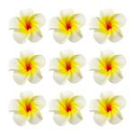 Namzi 100Pcs Artificial Plumeria Frangipani Flower, Floating Flowers for Pool, Hawaiian Flowers Centerpiece, Artificial White Foam Plumeria, Petal Hat Head DIY Home Wedding Party Decoration