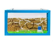 AntHouse - Natural sand ant farm - 3D Starter Set 20x10x10 cm Blue