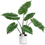 Leflos Artificial Monstera Plant Indoor, 27'' Faux Potted Alocasia Leaf Plant with Verdant Leaves, Fake Swiss Cheese Floor Tree in White Planter, Fake Silk Palm Tree for Home & Housewarming Decor