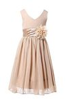 Bow Dream Junior Bridesmaids V-Neckline Chiffon Flower Girl Dress, Champagne, 14