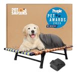 PETSAPIENS Folding Elevated Dog Bed Small Size with Blanket (36x24x8 Inch)| All-Seasons ComfortI Breathable Nylon Mesh | Cot Bed for Dogs and Cats I Anti-Skid and Waterproof Bed for Dogs |Multicolor