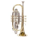 SOUND SAGA® Special Design Bb Cornet Trumpet With All Accessories Including Mouthpiece & Case. (GOLD SILVER)