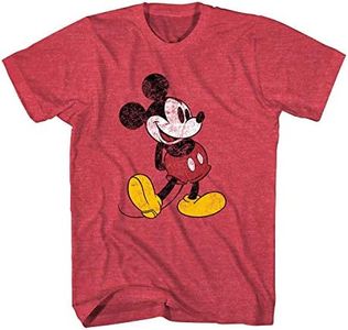 Disney Mic