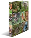 HERMA 19477 Ring Binders A4 Animals Forest Animals, Pack of 3, Narrow, 2 Rings, 35 mm Wide, Cardboard Folder with Inner Print for School and Office, Sturdy Cardboard Ring Binder Set for Boys and Girls