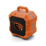 Bluetooth Tailgate Speaker