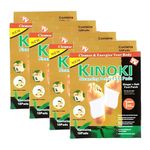 Kahara Kiyome Kinoki Detox Foot Pads - Ginger & Salt Adhesive Patches for Foot Care, Body Cleansing, Pain Relief, Relieve Stress, Relaxation | Organic Natural ingredients (Pack of 6 (60 Pads))