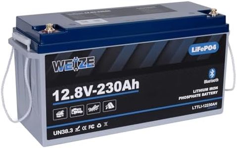 WEIZE 12V