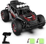 Remote Control Car 2.4Ghz RC Car fo