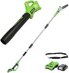 Greenworks 24V 20cm Pole-Saw, Blowe